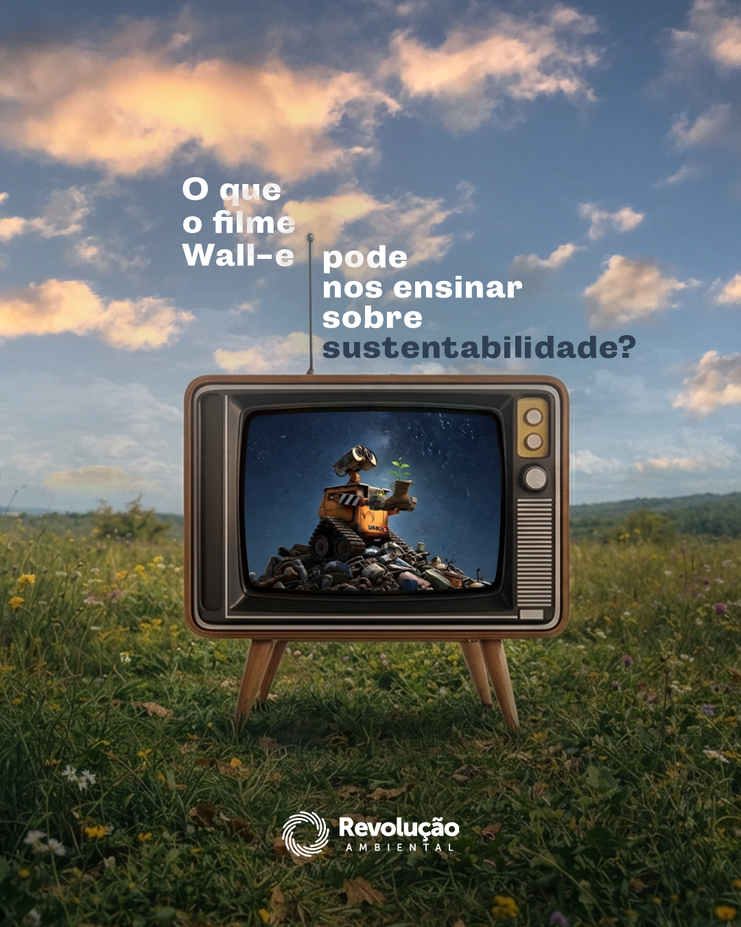 Revolução Ambiental — imagem 4
